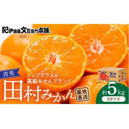 V7449_青秀 田村みかん 5kg Sサイズ 濃厚 紅色 果皮 果肉 糖度 高い 味 ブランド みかん フルーツ 果実 果物 柑橘 濃厚 国産 食品 食べ物 おやつ デザート 紀伊国屋文左衛門本舗 お取り寄せ お取り寄せフルーツ 和歌山県 湯浅町 送料無料 