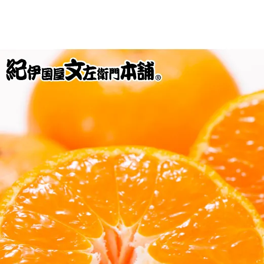 V7449_【2026年先行予約】青秀 田村みかん 5kg Sサイズ