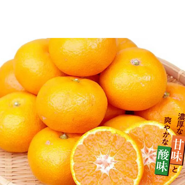 G7345_【2026年11月下旬より発送】紀州 有田産 濃厚甘熟 温州みかん 7.5kg 【家庭用 訳あり】