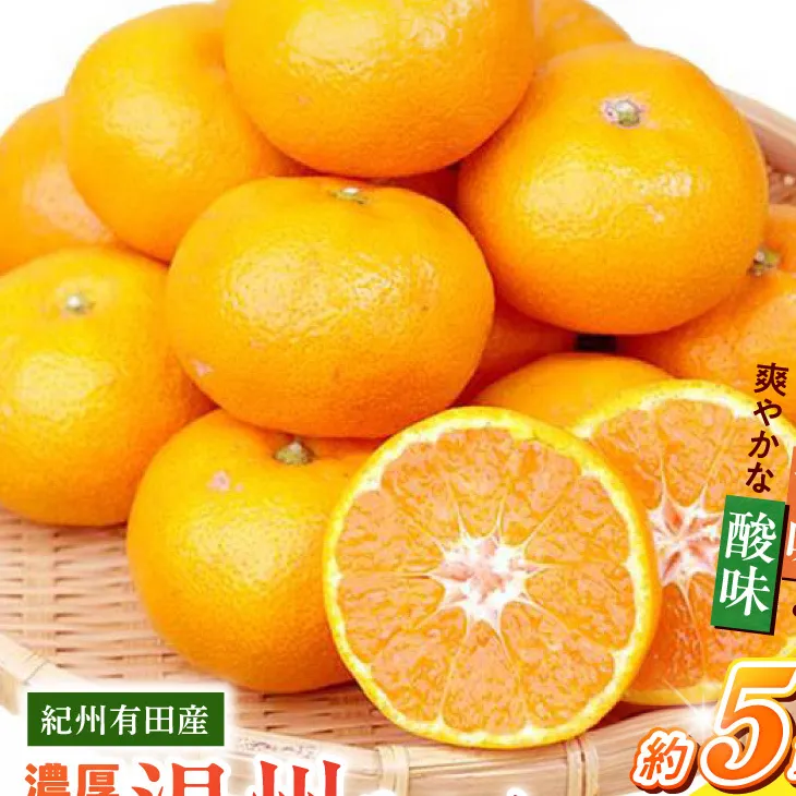 G7347_【2026年11月下旬頃より発送】紀州 有田産 濃厚甘熟 温州みかん 5kg【家庭用 訳あり】