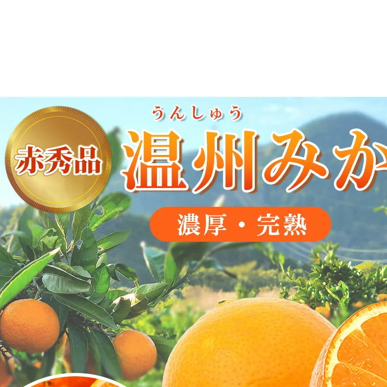 G7042_【2026年11月下旬より発送】紀州 有田産 濃厚甘熟 温州みかん 3kg 赤秀品【ミカン 蜜柑 柑橘 温州みかん 有田みかん 和歌山】
