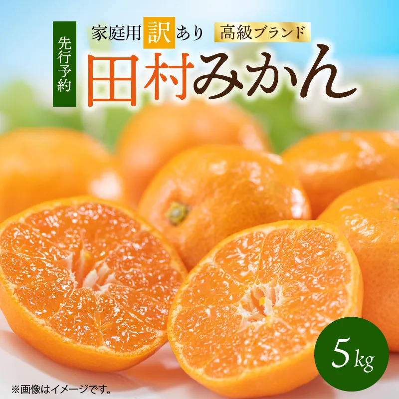 G7342_【2026年先行予約】高級ブランド 田村みかん 約5kg【家庭用 訳あり】