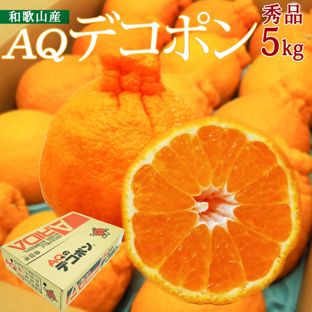 DN6012n_【2026年先行予約】和歌山県産 AQ デコポン 5kg 秀品 (12～24玉)
