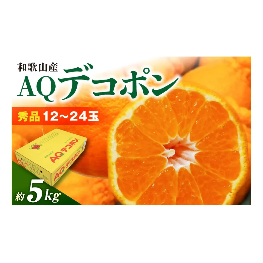 DN6012n_【2027年先行予約】和歌山県産 AQ デコポン 5kg 秀品 (12～24玉)