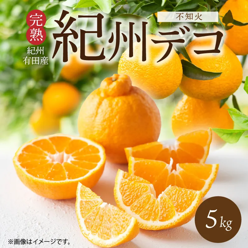 G7361_【2026年先行予約】果肉プリプリ♪完熟 紀州デコ (不知火) 5kg
