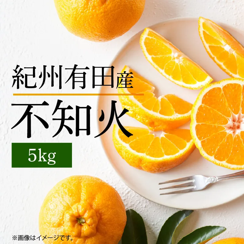 【2027年先行予約】不知火 5kg デコポン 柑橘の王様 甘い プリプリ ジューシー 濃厚 フルーツ 果実 果物 柑橘 紀州有田産 国産 食品 食べ物 お取り寄せ 魚鶴商店 和歌山県 湯浅町 送料無料_G7356