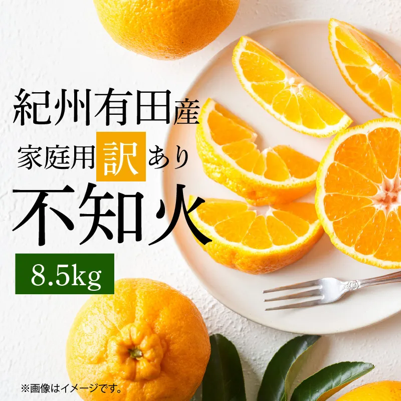 【2027年先行予約】紀州有田産 不知火 (しらぬい)【家庭用 訳あり】8.5kg_G7359