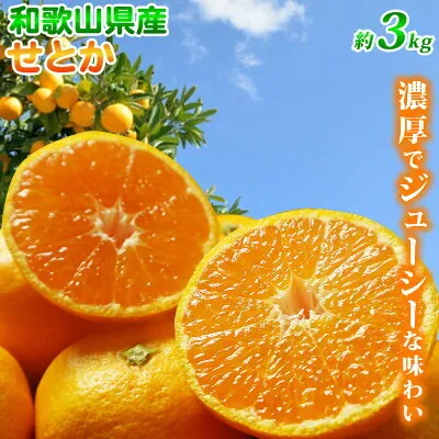 G7353_【2026年先行予約】とろける食感！ジューシー柑橘 せとか 3kg