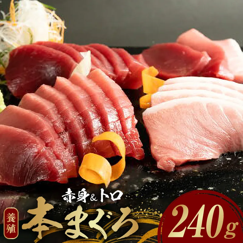 本マグロ （養殖） 赤身 ＆ トロ セット 240g_AZ6014n