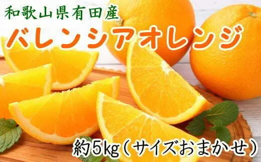 ZD6372n_和歌山県有田産 バレンシアオレンジ約5kg (サイズおまかせ)