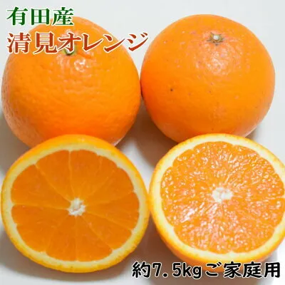 ZD6386n_【2026年先行予約】【産直】有田産清見オレンジ 約7.5kg（訳あり家庭用サイズおまかせまたは混合）