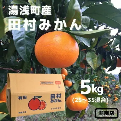 【2026年先行予約】【産地直送】和歌山 湯浅町産 田村みかん 5kg 2S～3Sサイズ混合_BL6014n