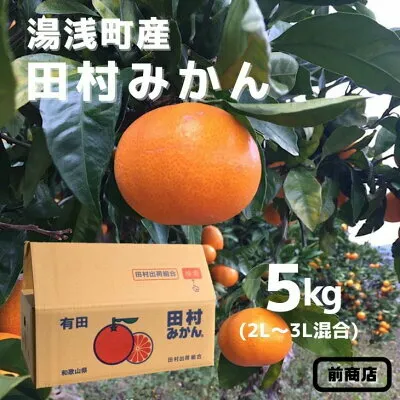 【2026年先行予約】【産地直送】和歌山 湯浅町産 田村みかん 5kg 2L～3Lサイズ混合_BL6015n