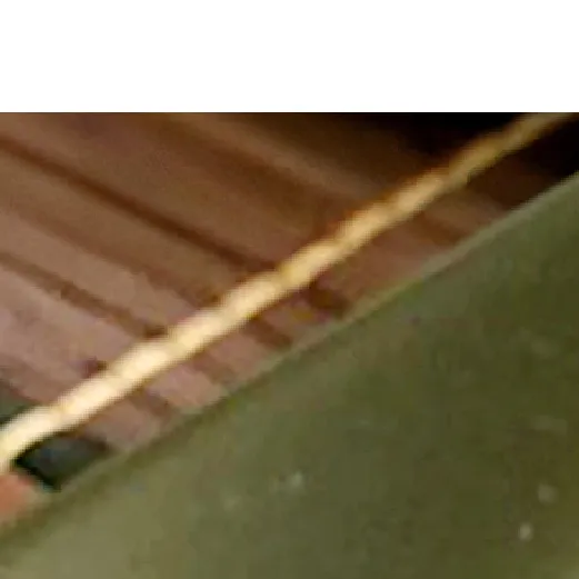 H6019n_厳選 生しらす (100g×2P)