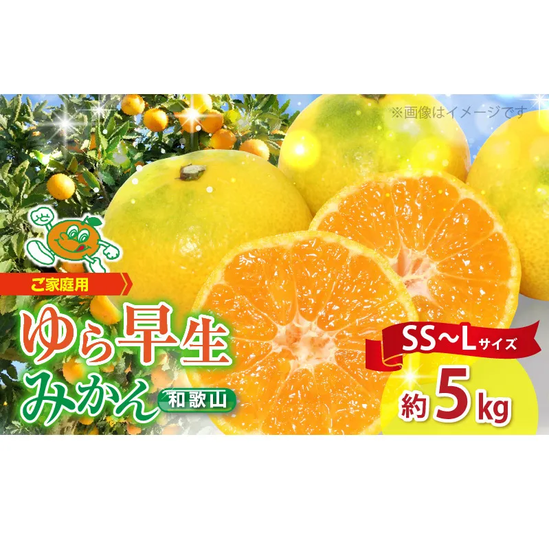 ZJ1012n_【2026年先行予約】【ご家庭用 極早生】和歌山 有田ゆら早生みかん 約5kg (SS、S、M、Lサイズ)【湯浅町】