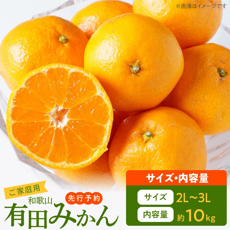 ご家庭用　和歌山有田みかん 約10kg (2L、3Lサイズ)【湯浅町】_AT6314