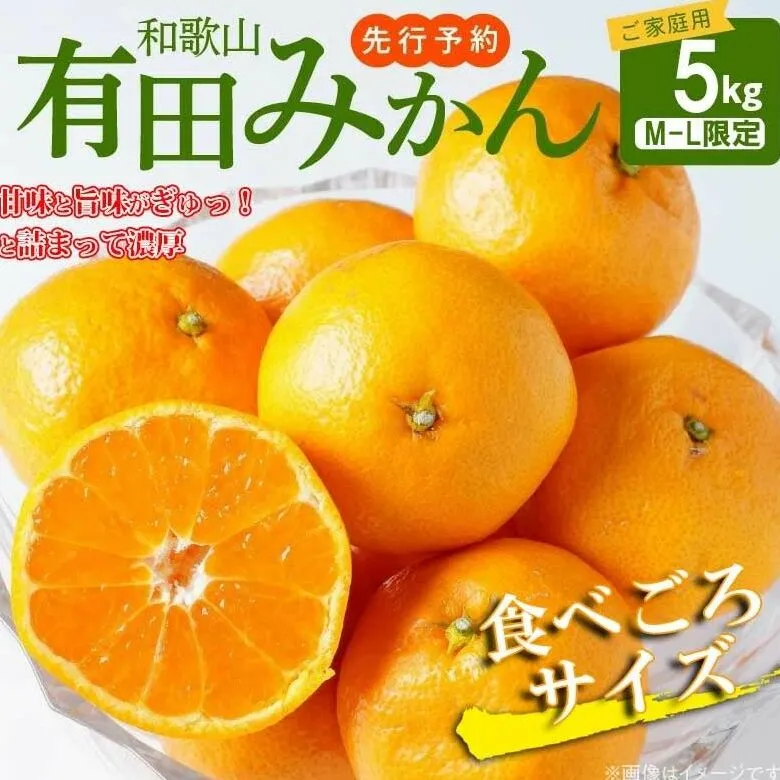 AT6304_【2025年先行予約】ご家庭用　有田みかん 約5kg (M、Lサイズ)【湯浅町】