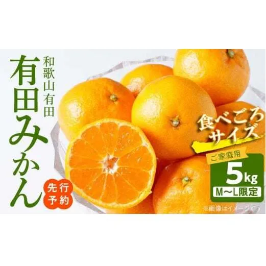 AT6304_【2025年先行予約】ご家庭用　有田みかん 約5kg (M、Lサイズ)【湯浅町】