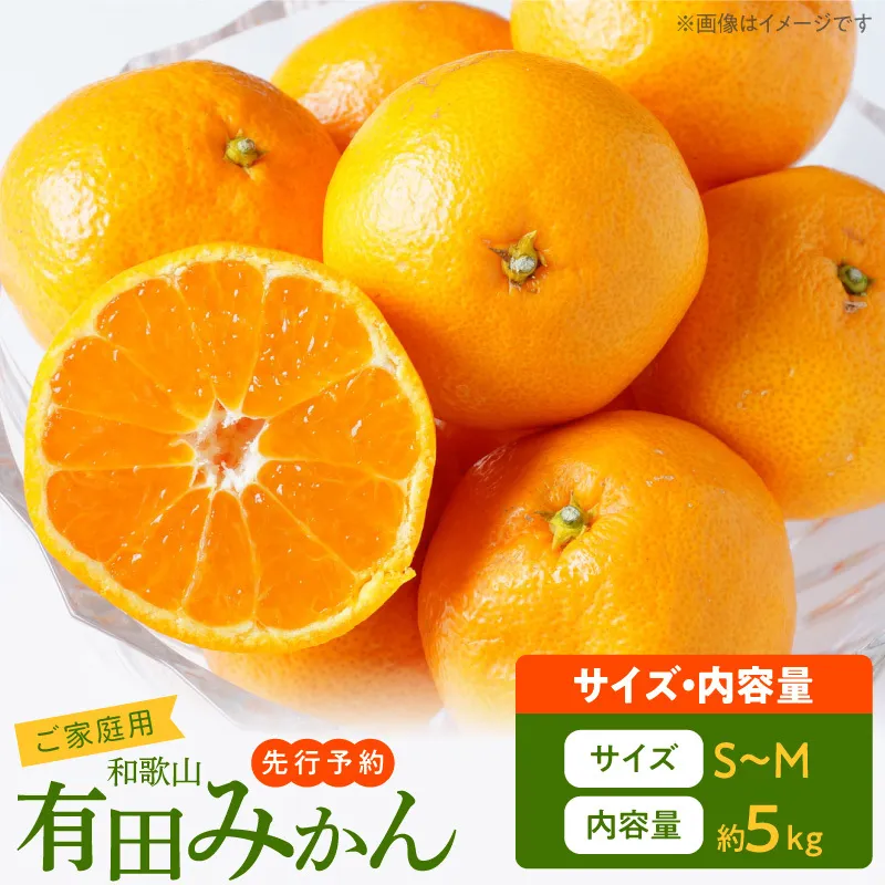 ご家庭用　有田みかん 約5kg (S、Mサイズ)【湯浅町】_AT6321