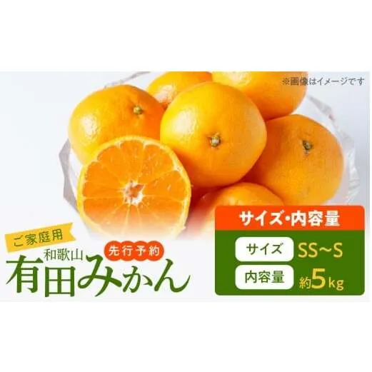 AT6323_【2025年先行予約】ご家庭用　旨味凝縮 有田みかん 約5kg (SS、Sサイズ)【湯浅町】