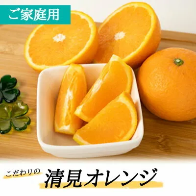 ZT6230n_【2026年先行予約】こだわりの 清見 オレンジ 【訳あり 家庭用】 5kg 藤秀園
