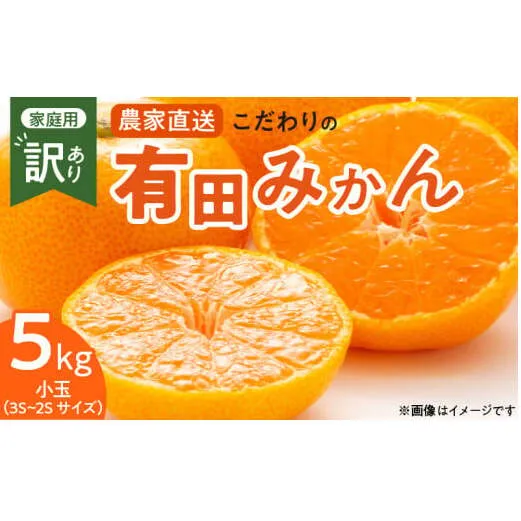 ZT6232n_こだわりの 有田みかん 小玉 5kg (2S～3Sサイズ)【訳あり 家庭用】
