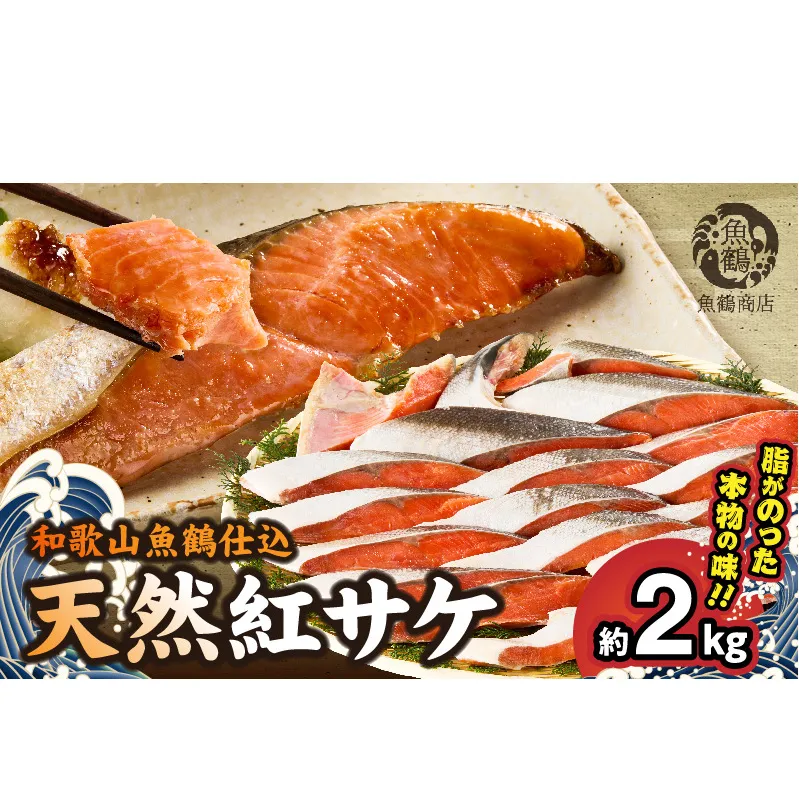 G7318_リピーター続出！ 高評価 魚鶴 仕込 天然紅 鮭 サケ 切身 約2kg サケ切身 紅鮭 和歌山 湯浅町 小分け 真空パック 梅酒 真昆布 使用 だし まろやか 天然 鮭 魚 海の幸 海鮮 魚介 食品 食べ物 おかず お弁当 水産加工品 冷凍 グルメ お取り寄せ 和歌山県 湯浅町 送料無料