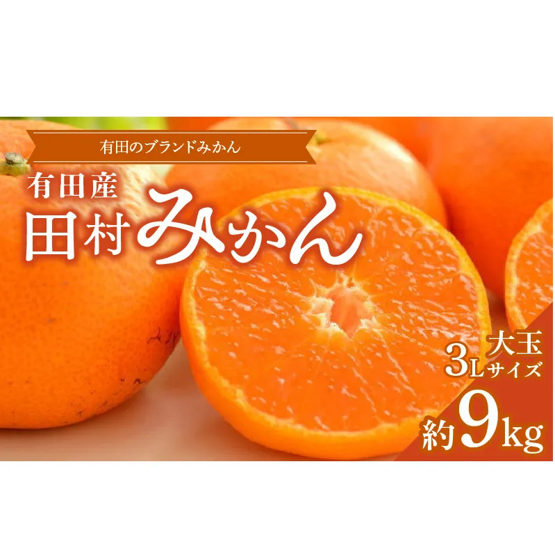 ZD7028_数量限定【ブランドみかん】田村みかん 大玉 約9kg (3Lサイズ)