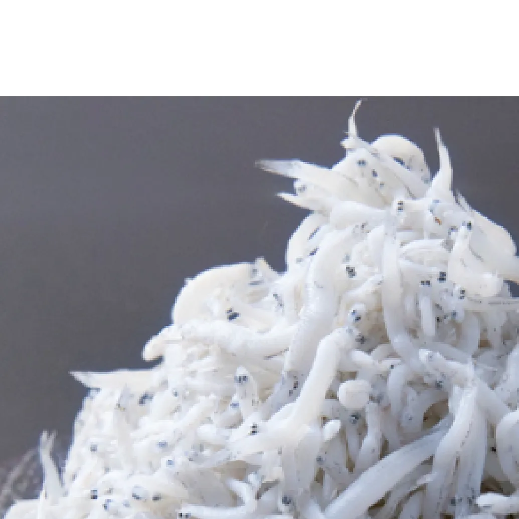 C6026n_まるとも海産【冷凍】特選 茹でたて 釜揚げしらす 木箱 1kg 紀州湯浅湾 直送！