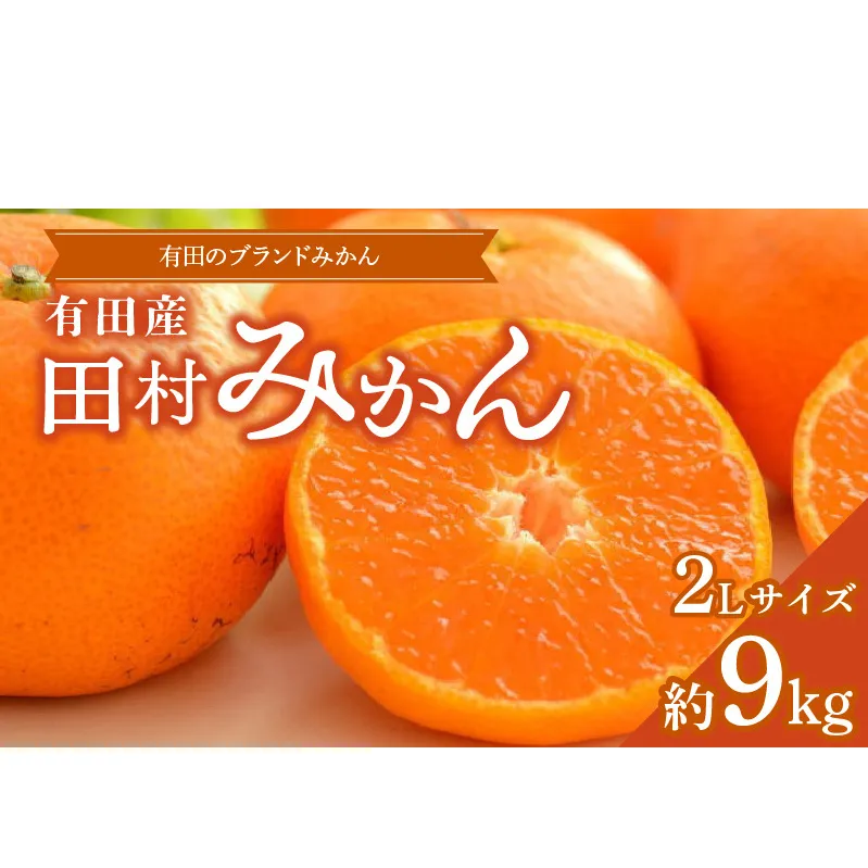 ZD7029_数量限定【ブランドみかん】田村みかん 約9kg (2Lサイズ)