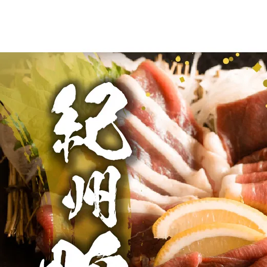 紀州鴨セット（ ローススライス300g  つくね200g  ソーセージ100g ）※到着希望日（時期）指定不可_AK6007n