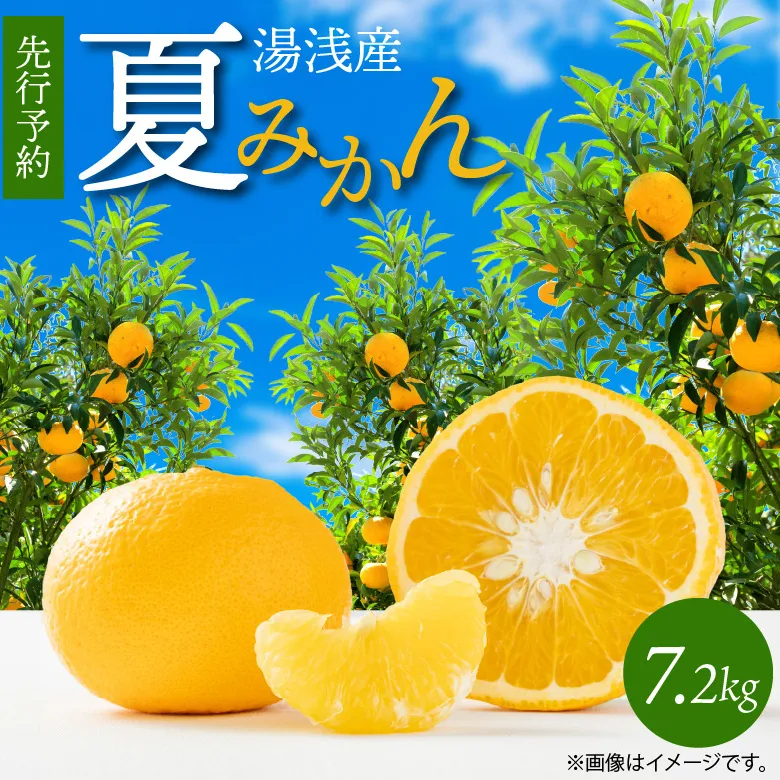 G7074_【2026年先行予約】湯浅産 夏みかん 7.2kg