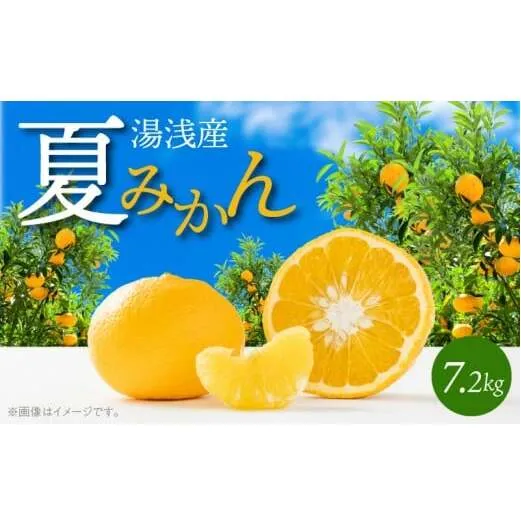G7074_【2026年先行予約】湯浅産 夏みかん 7.2kg