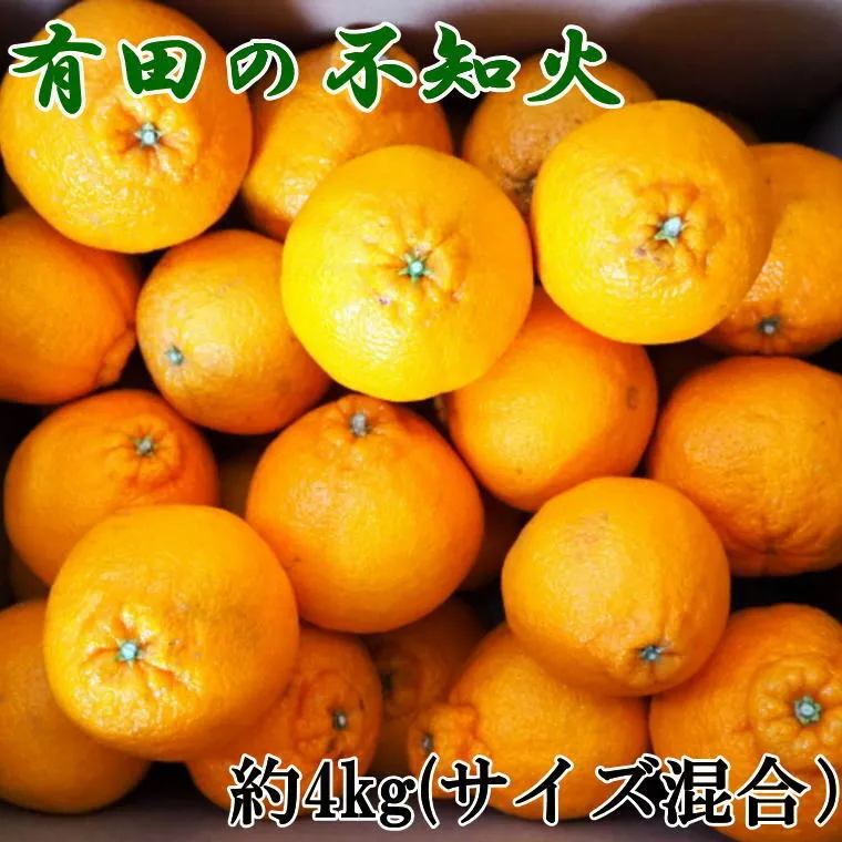 ZD6379n_【2026年先行予約】【濃厚】有田産不知火約4kg（M～3Lサイズ混合）