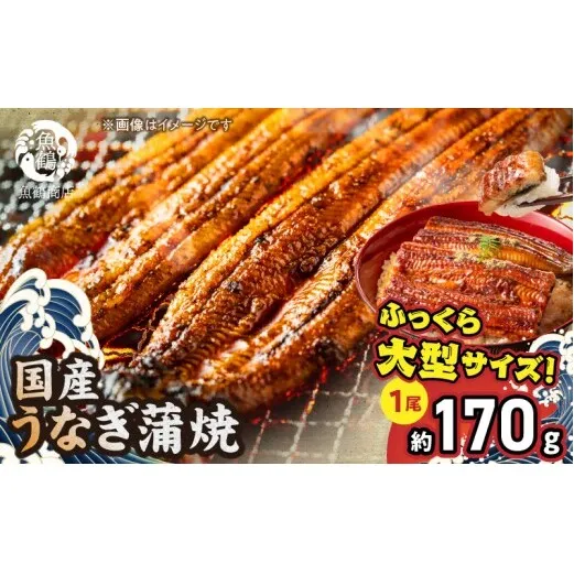 G7004_大型サイズ ふっくら柔らか 国産うなぎ 蒲焼き 容量 発送時期 土用の丑の日 お取り寄せ お取り寄せグルメ 