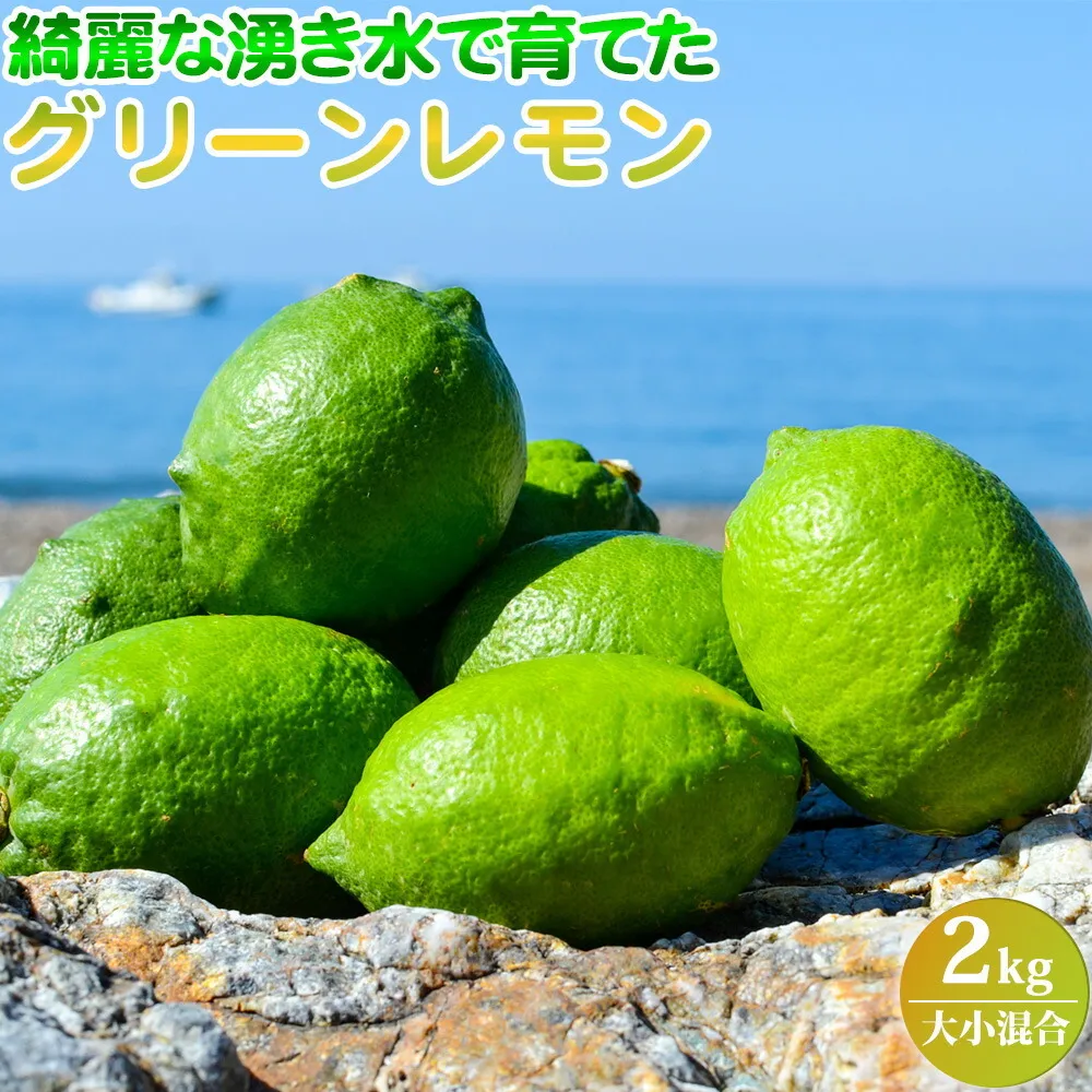 EA6042n_【2026年先行予約】綺麗な湧き水で育てた グリーンレモン 2kg (大小混合)