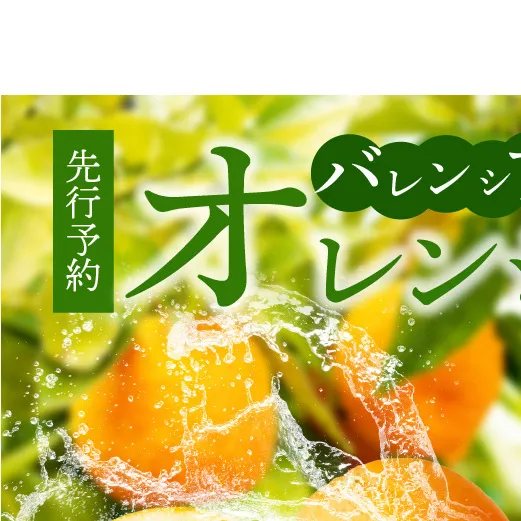 G7078_希少な 国産 バレンシアオレンジ 2.5kg 秀品