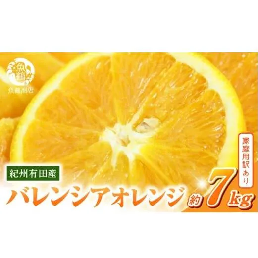 G7080_希少な 国産 バレンシアオレンジ 7kg 【家庭用 訳あり】【国産オレンジ オレンジ 柑橘 フルーツ 和歌山 有田】