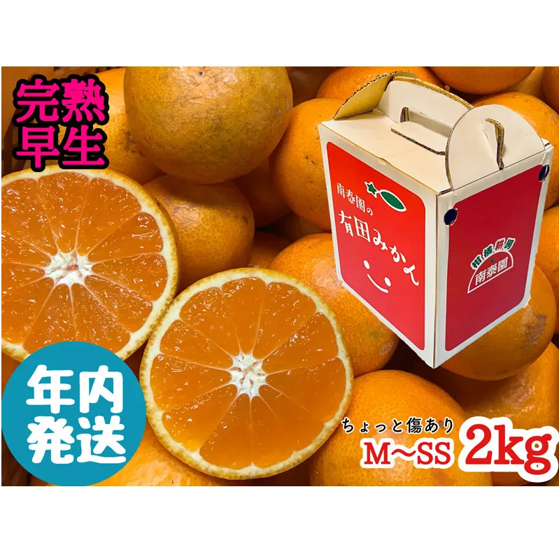 ZF6305n_ちょっと傷あり【完熟早生・有田みかん】M～SSサイズ 約2kg