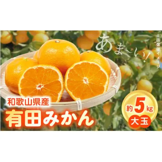 ZN6011n_（大玉）和歌山県産 有田みかん 5kg ひとつひとつ手選別で厳選！生産者から直送