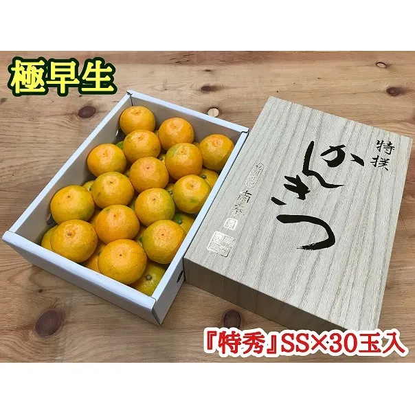 極早生 みかん 有田 化粧箱 小箱 特秀 SSサイズ 約2kg 30玉入 南泰園_ZF6024n
