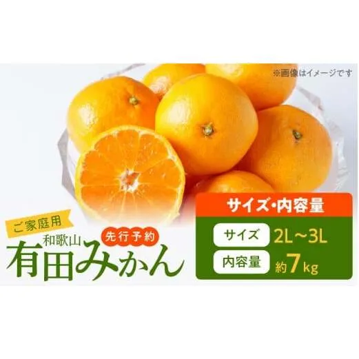 AT6315_ご家庭用　有田みかん 約7kg (2L、3Lサイズ)【湯浅町】