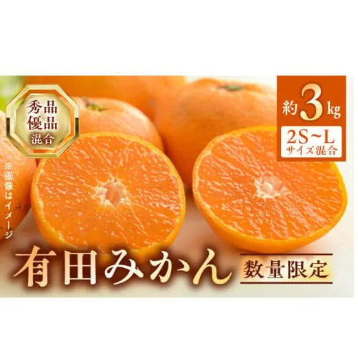 BF6031n_【2025年先行予約】 数量限定 期間限定 有田みかん 約 3kg 2S～Lサイズ サイズ混合 30個 前後 秀品 優品 紀州 有田 みかん 温州みかん フルーツ 果実 甘み 酸味 絶妙 バランス 果物 柑橘 国産 食品 食べ物 マルシ農園 お取り寄せ 和歌山県 湯浅町 送料無料