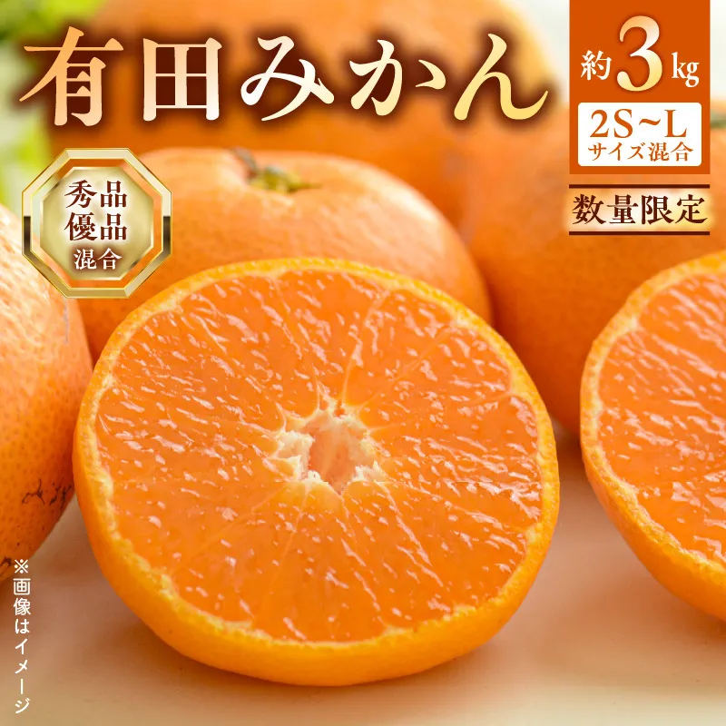 有田みかん 約 3kg 2S～Lサイズ サイズ混合 30個 前後 秀品 優品 紀州 有田 みかん 温州みかん フルーツ 果実 甘み 酸味 絶妙 バランス 果物 柑橘 国産 食品 食べ物 マルシ農園 お取り寄せ 和歌山県 湯浅町 送料無料_BF6031n
