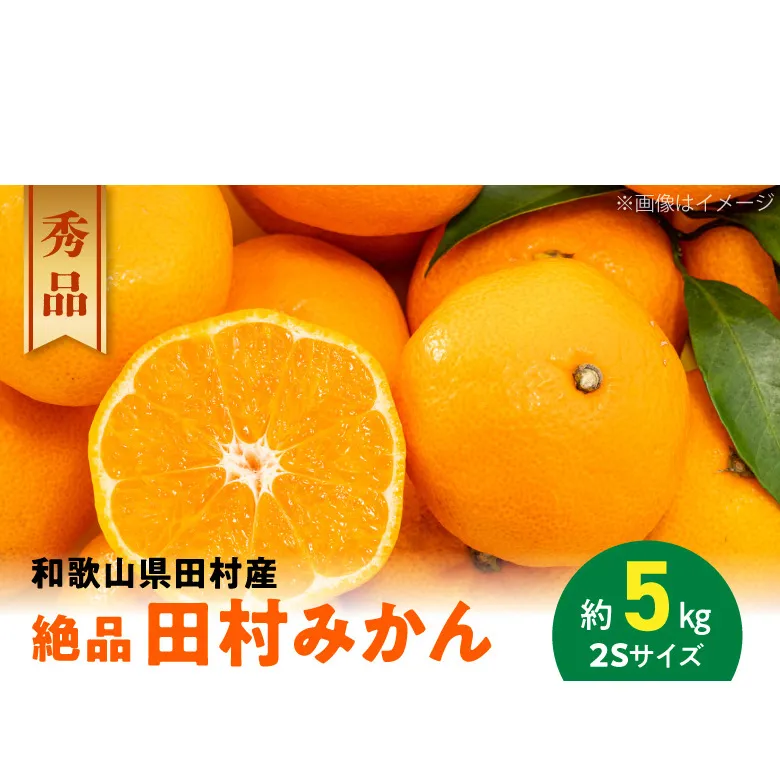 AB7113n_【和歌山特産品】【プレミアムブランド】絶品! 田村みかん 秀品 2Sサイズ 約5kg