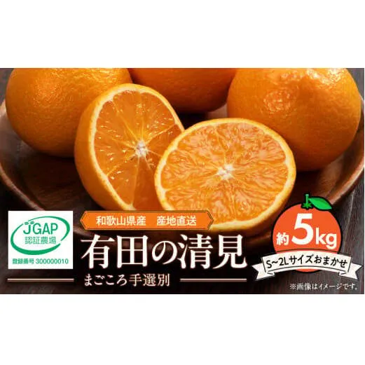 ZE6114n_【2026年先行予約】和歌山県産 有田の 清見 5kg (S～2Lサイズ)（サイズおまかせ）（まごころ手選別）