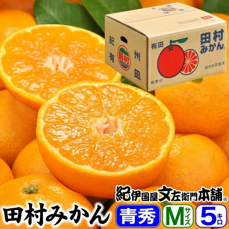 V7448_田村みかん／5kg青秀【Mサイズ】