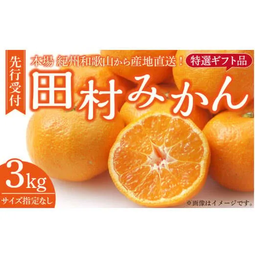 V7454_田村みかん／特選ギフト品3kg【サイズ指定なし】