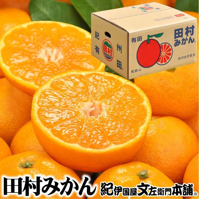 V7453_田村みかん／4kg秀品 【サイズ指定なし】