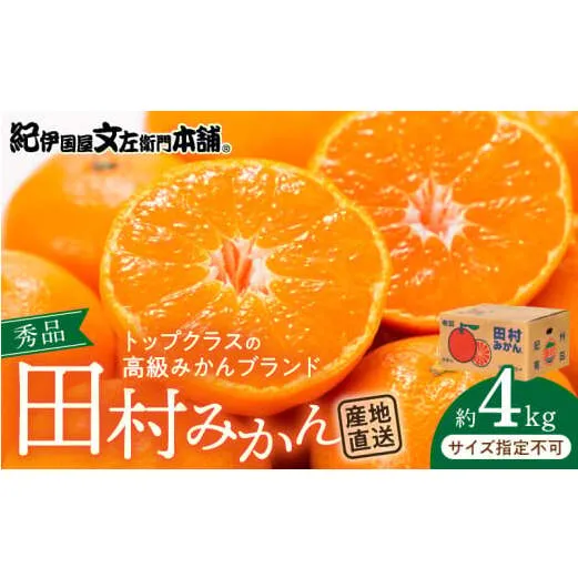 V7453_田村みかん／4kg秀品 【サイズ指定なし】
